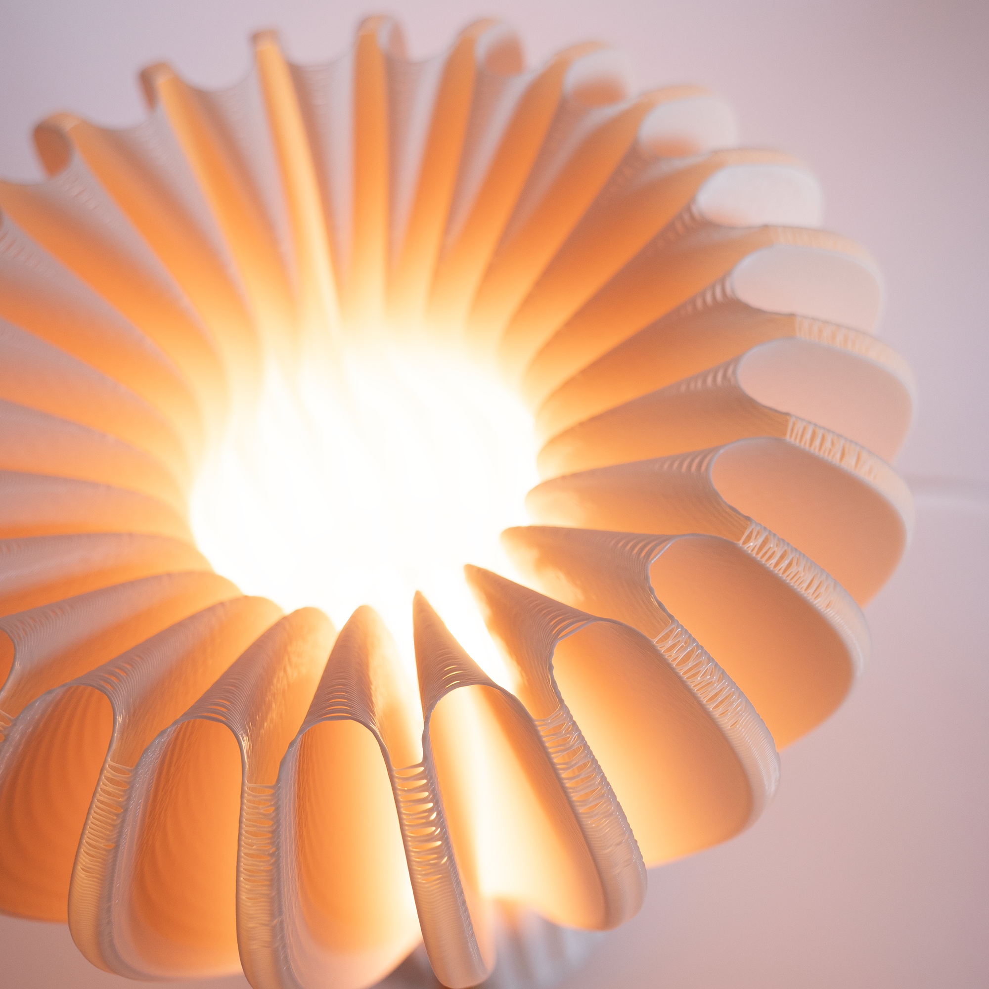 CHASEN Lamp / SAKURA