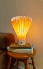 CHASEN Lamp / SAKURA